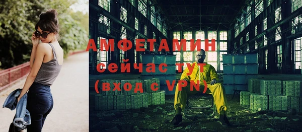 mdpv Вяземский